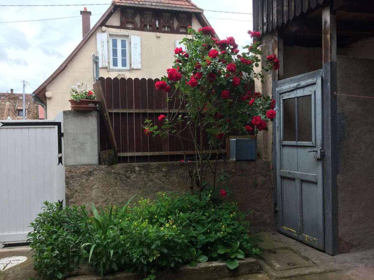 Appartement Spacieux Dans Joli Village Alsacien Châtenois Exterior foto