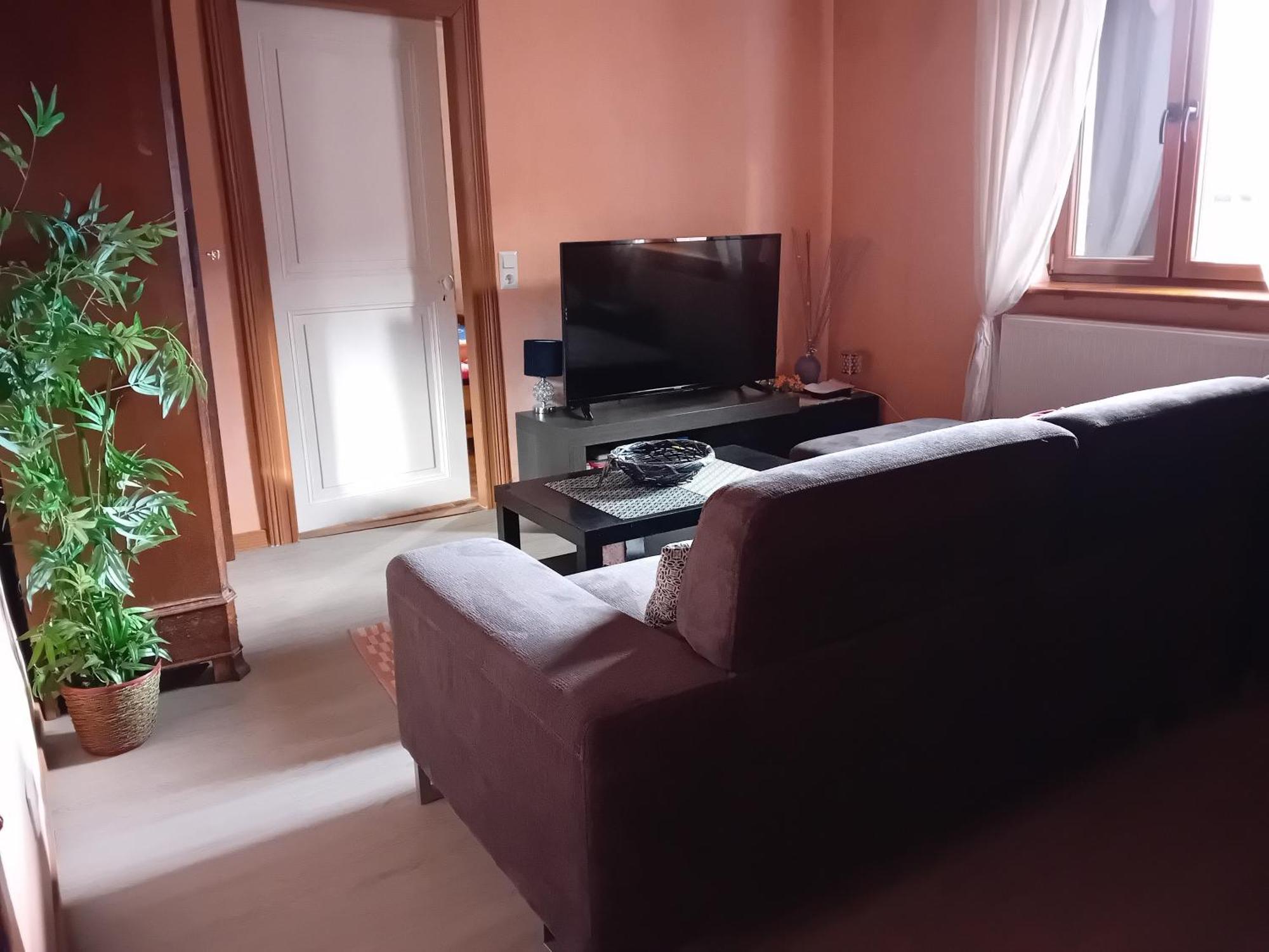 Appartement Spacieux Dans Joli Village Alsacien Châtenois Exterior foto