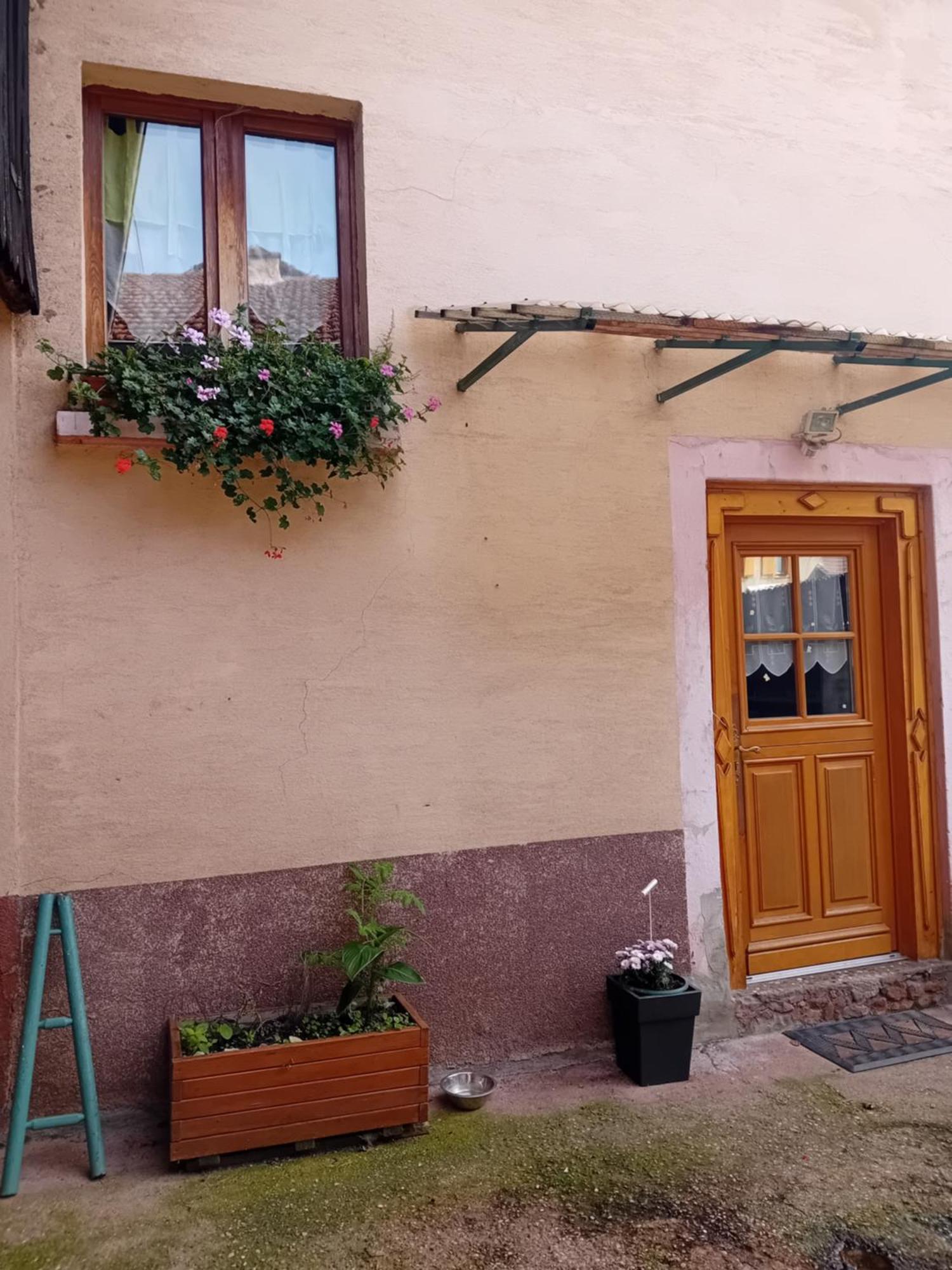 Appartement Spacieux Dans Joli Village Alsacien Châtenois Exterior foto