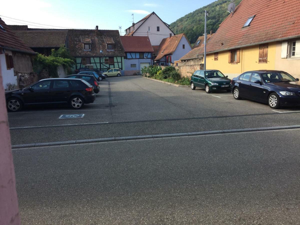 Appartement Spacieux Dans Joli Village Alsacien Châtenois Exterior foto